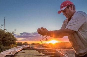 Seminário Internacional de Agronegócios promove troca de experiências entre SC e Alemanha